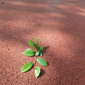 昆明市麗江市彩色透水混凝土  透水地坪粘接料廠家  透水砼顏色料 透水地坪粘接膠 透水地坪報價 批發(fā)價格