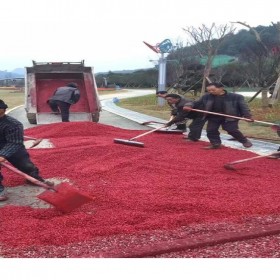 重慶市北碚區(qū) 彩色透水混凝土直銷 彩色透水路面加強(qiáng)劑 透水混凝土路面施工 透水路面增強(qiáng)劑 材料廠家全國施工