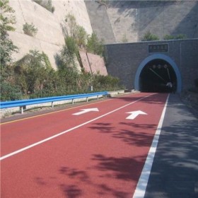 彩色透水地面 露骨彩色透水混凝土 車(chē)行彩色透水混凝土路 無(wú)砂混凝土 制造廠