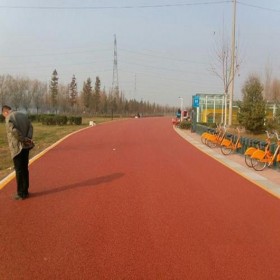 河源市 生態(tài)透水混凝土 細粒式彩色混凝土 露石子透水混凝土 生態(tài)透水砼 材料廠家出售 品質(zhì)優(yōu)先