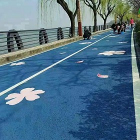 保定市 生態(tài)透水地坪 透水混凝土街道 海綿城市透水砼 透水彩色混凝土公司直銷(xiāo)
